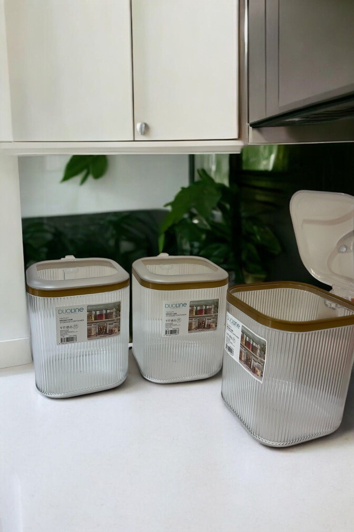 3'lü Kulplu Kapaklı Saklama Kabı Seti, Şeffaf Gold, 2.5 Lt