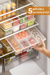 5 Bölmeli Buzdolabı Düzenleyici, Difriz Organizeri, Derin Dondurucu Düzenleyici