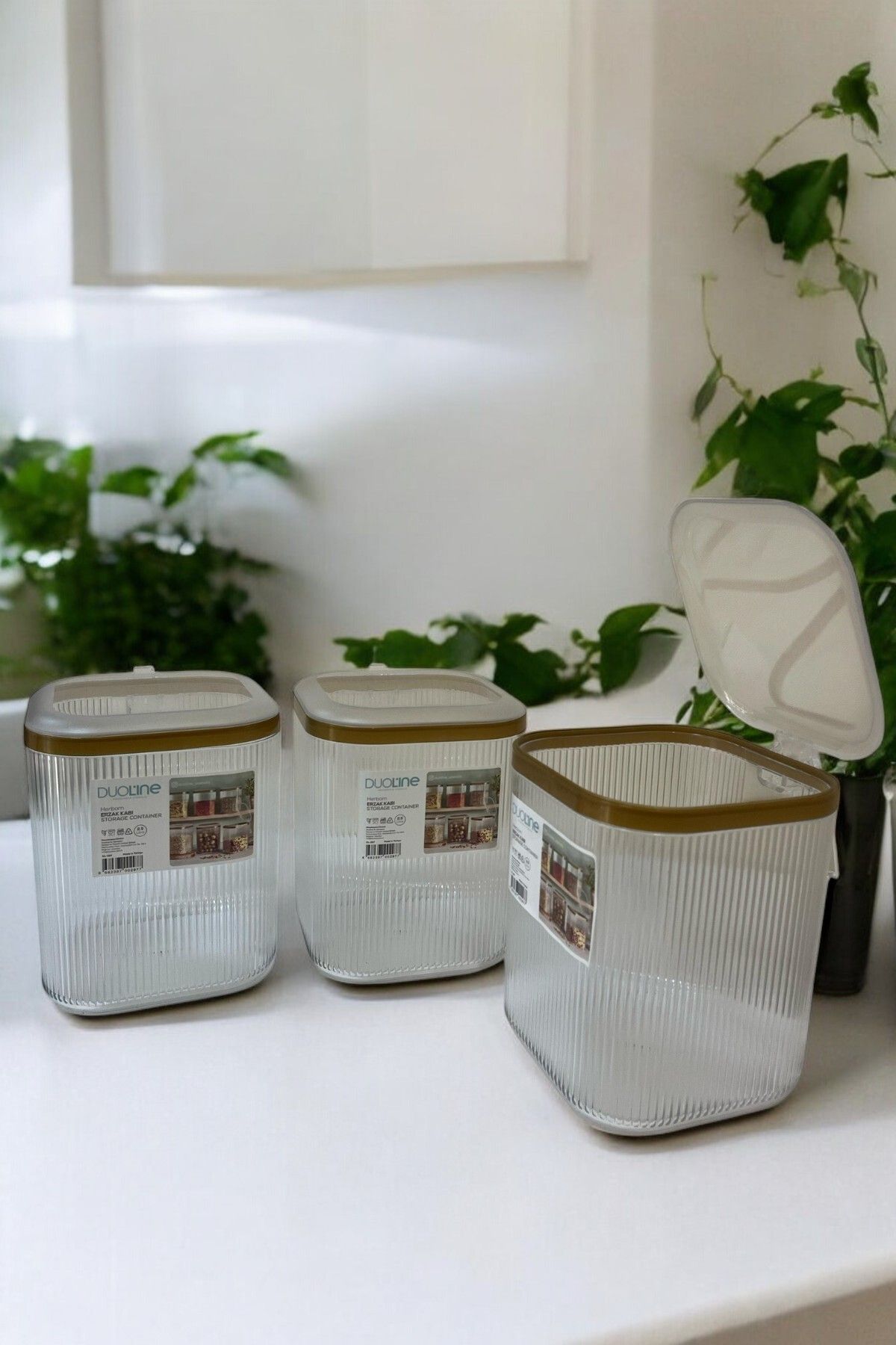 3'lü Kulplu Kapaklı Saklama Kabı Seti, Şeffaf Gold, 2.5 Lt