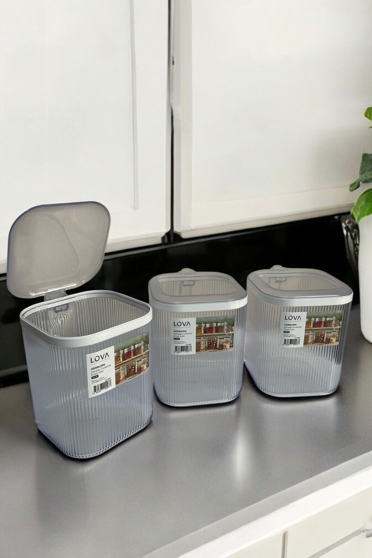 3'lü Kulplu Kapaklı Saklama Kabı Seti, Şeffaf, 2.5 lt