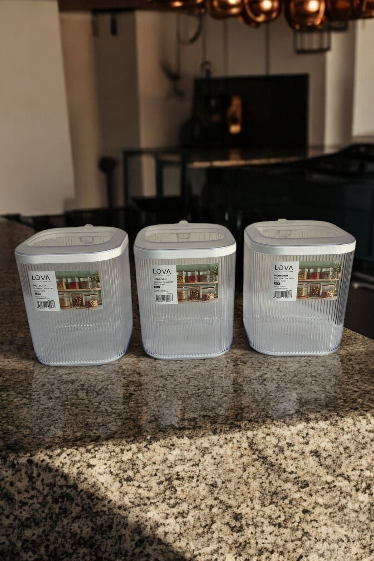 3'lü Kulplu Kapaklı Saklama Kabı Seti, Şeffaf, 2.5 lt