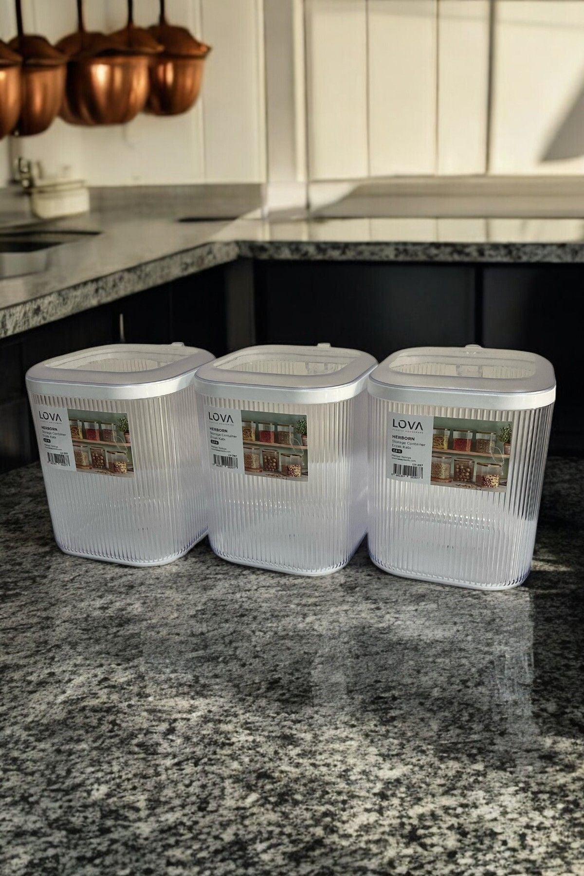 3'lü Kulplu Kapaklı Saklama Kabı Seti, Şeffaf, 2.5 lt