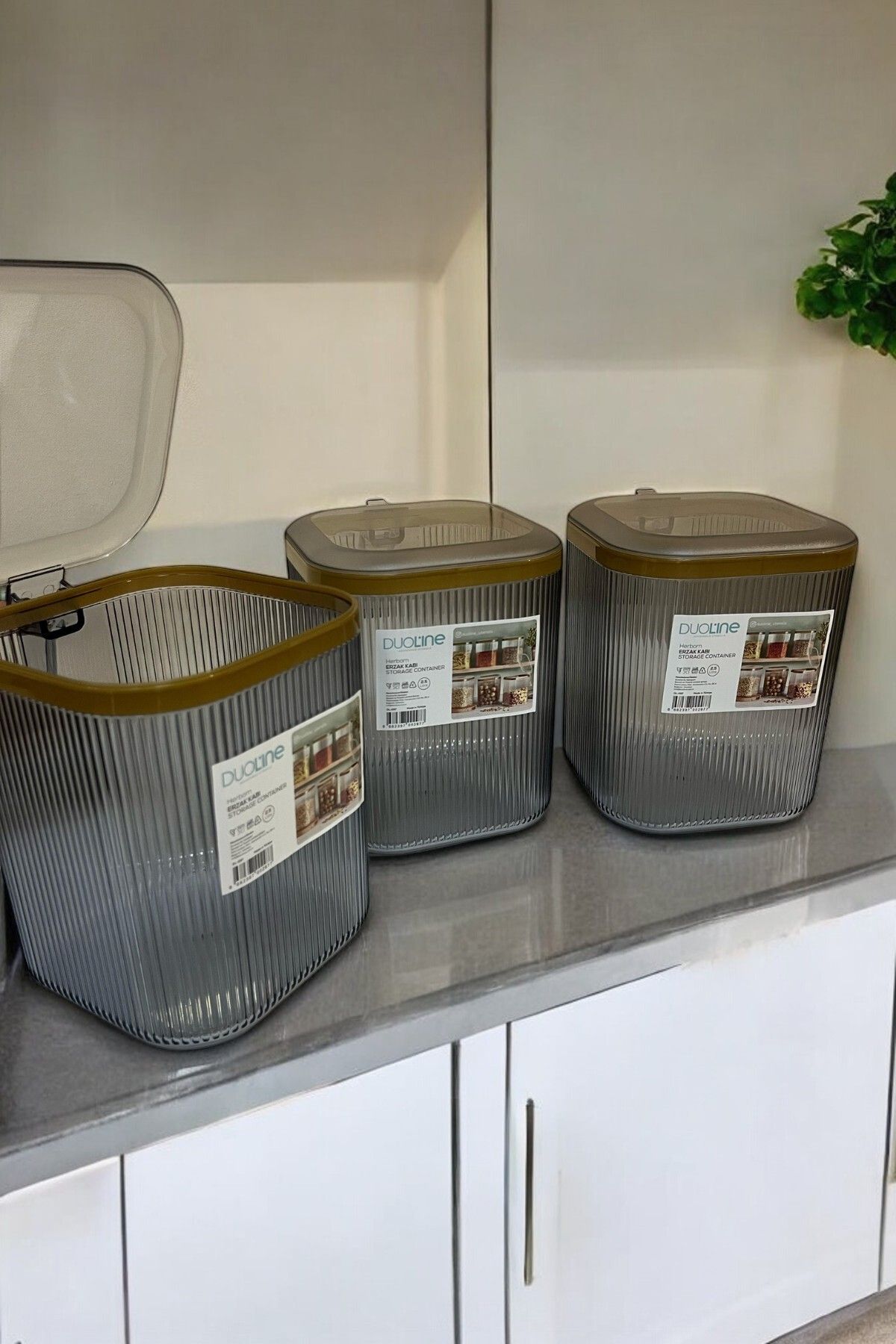 2500 ml 3'lü Kulplu Kapaklı Saklama Kabı Seti, Füme Gold